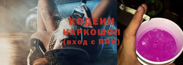 молекула духа Алзамай