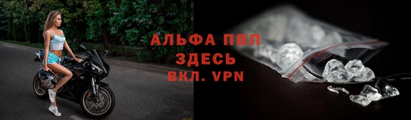 прущие крисы Аркадак