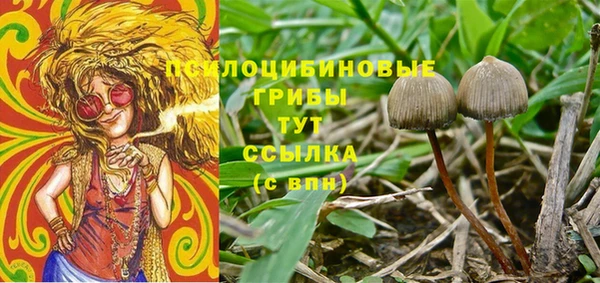 дурь Алексин