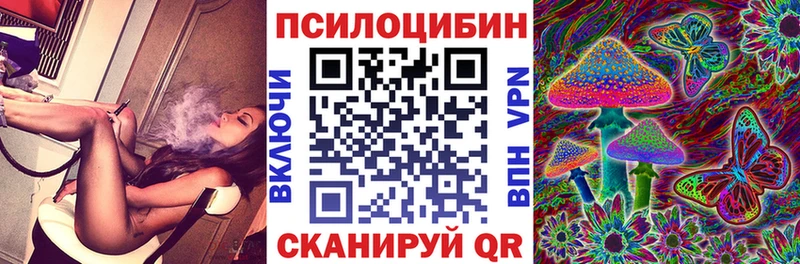 Галлюциногенные грибы Cubensis где найти наркотики Можга