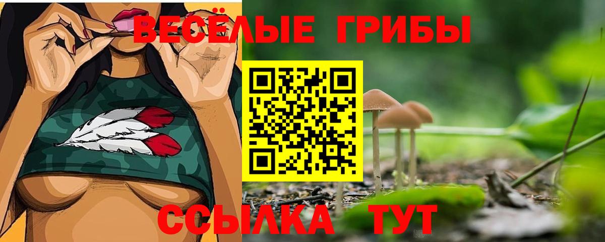 Псилоцибиновые грибы мухоморы  Вход с VPN  Псилоцибиновые грибы мухоморы  Можга 